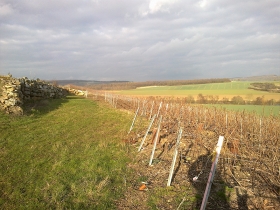 Champagne Marc BIJOTAT - 