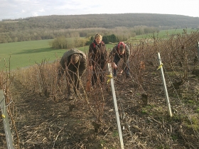 Champagne Marc BIJOTAT - 